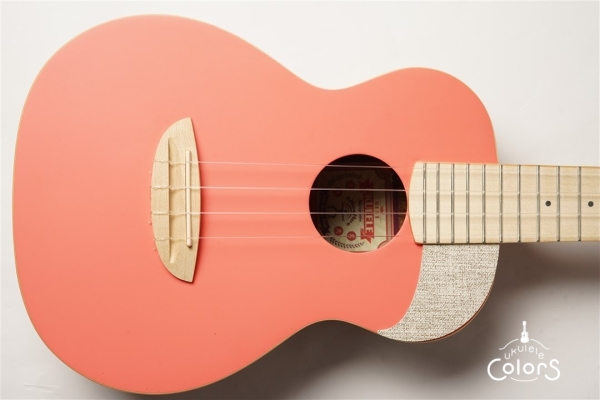 aNN-UC10 - Living Corral